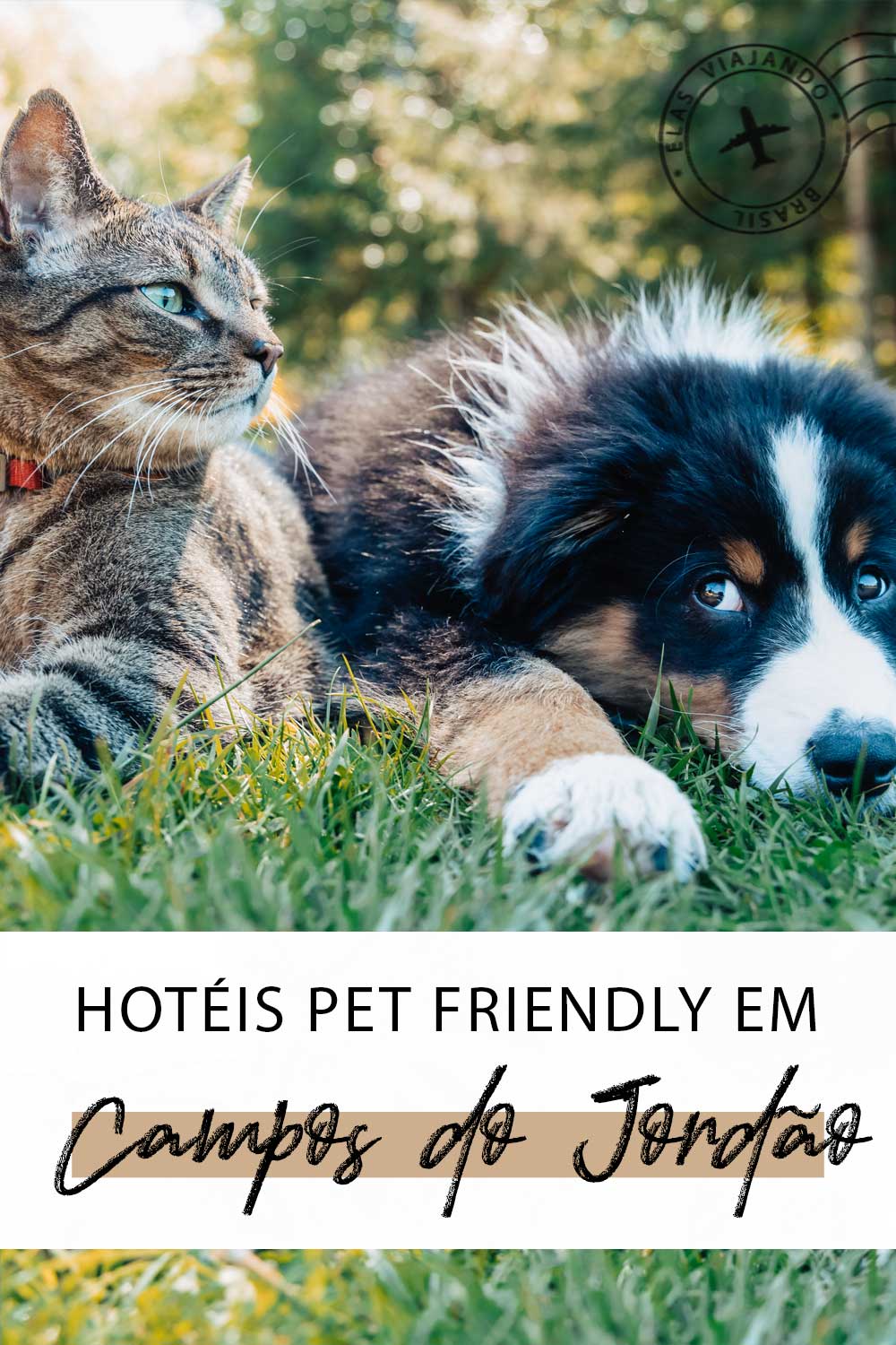 Pet Friendly - Hotel Pousada do Bosque